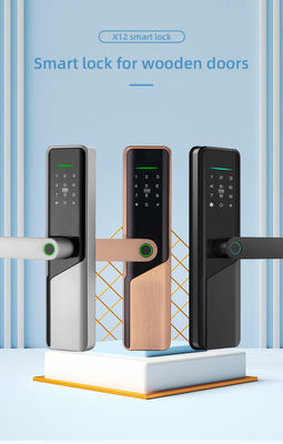 Electric Digital Smart Volibel Aluminium Alloy Rfid Card Password Code Door Lock Tanpa Sidik Jari Tuya Ttlock App