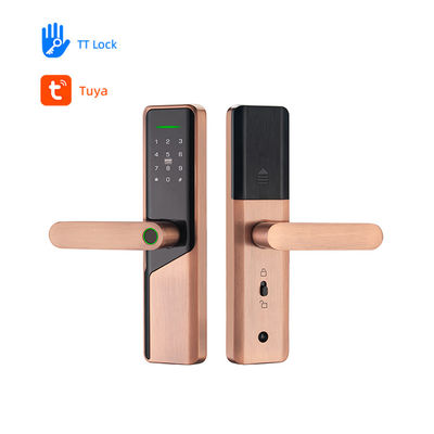 Electric Digital Smart Volibel Aluminium Alloy Rfid Card Password Code Door Lock Tanpa Sidik Jari Tuya Ttlock App
